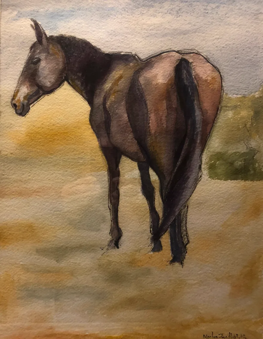Fransk Hest