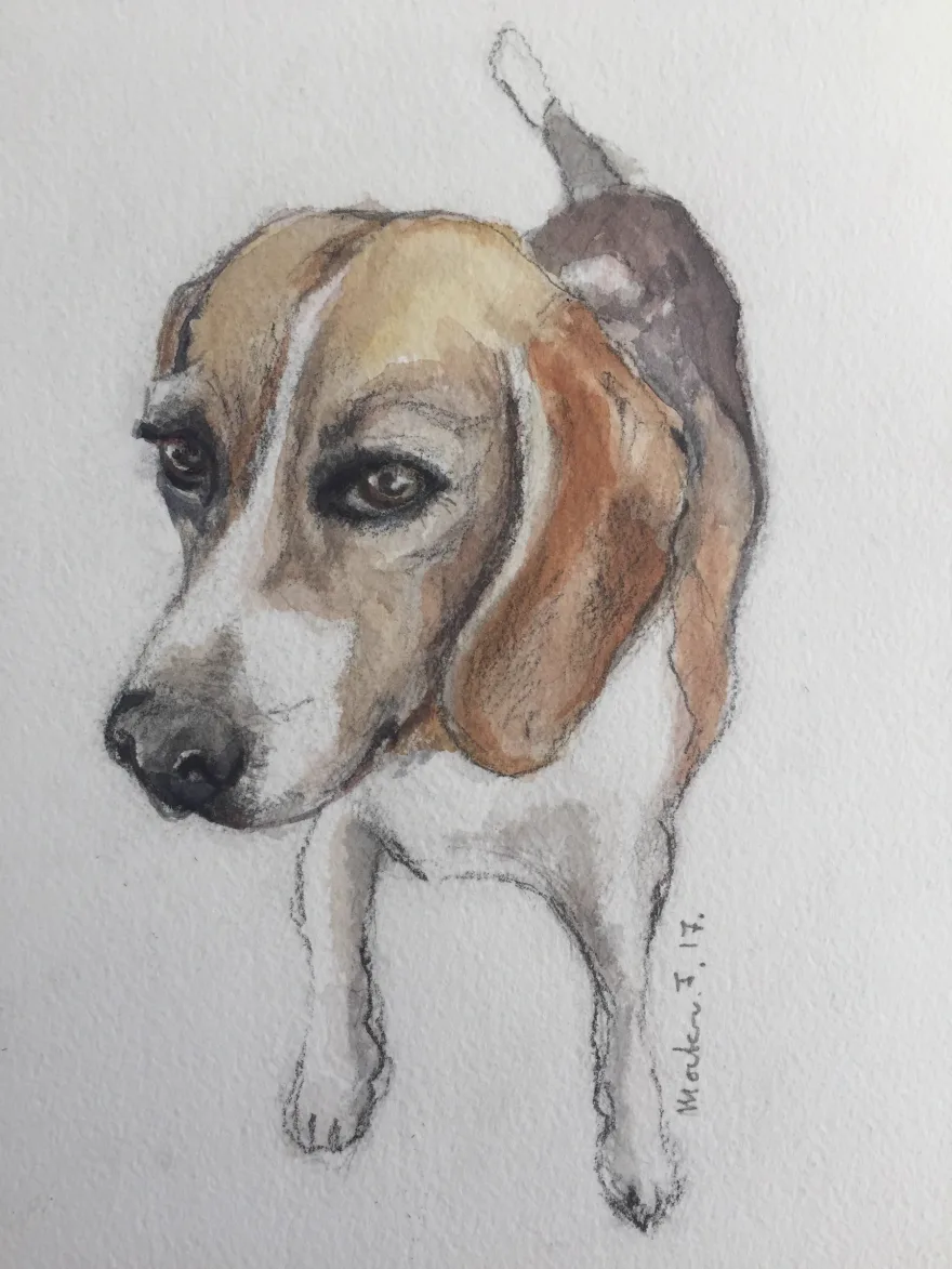 Portrett dyr2